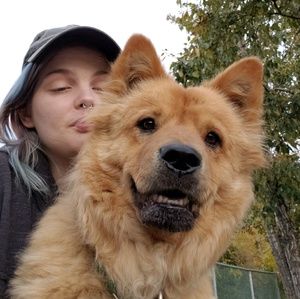 Meet your Posher, Nyx